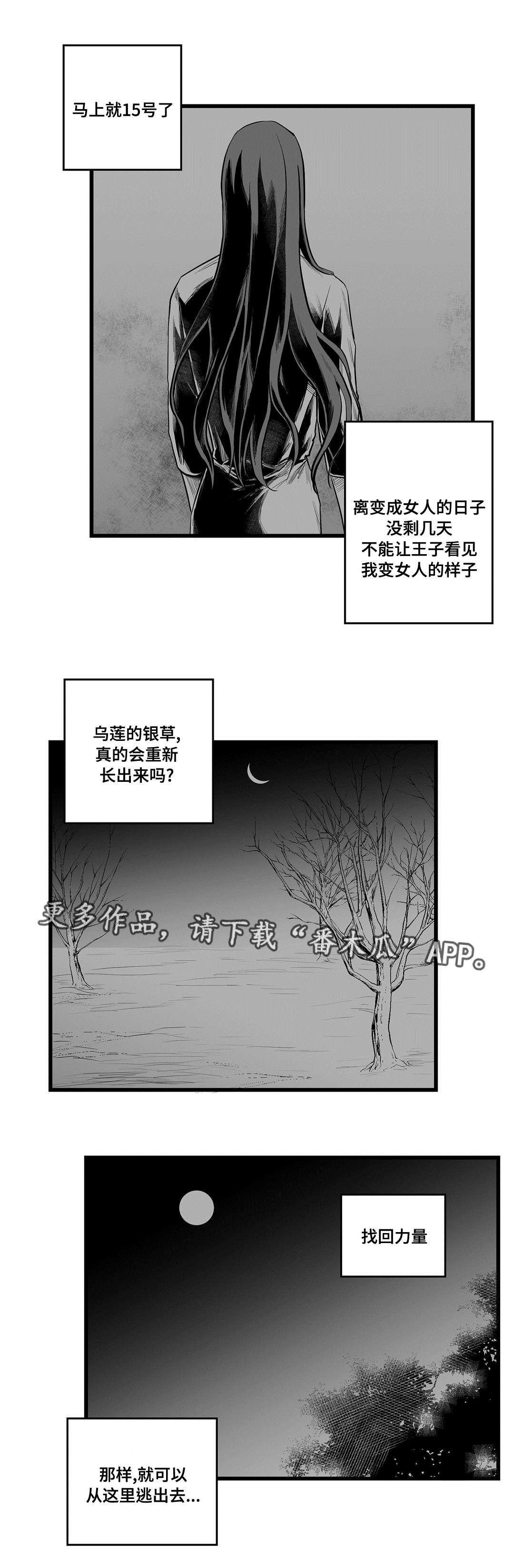 《巫师与王子》漫画最新章节第41章：何去何从免费下拉式在线观看章节第【3】张图片