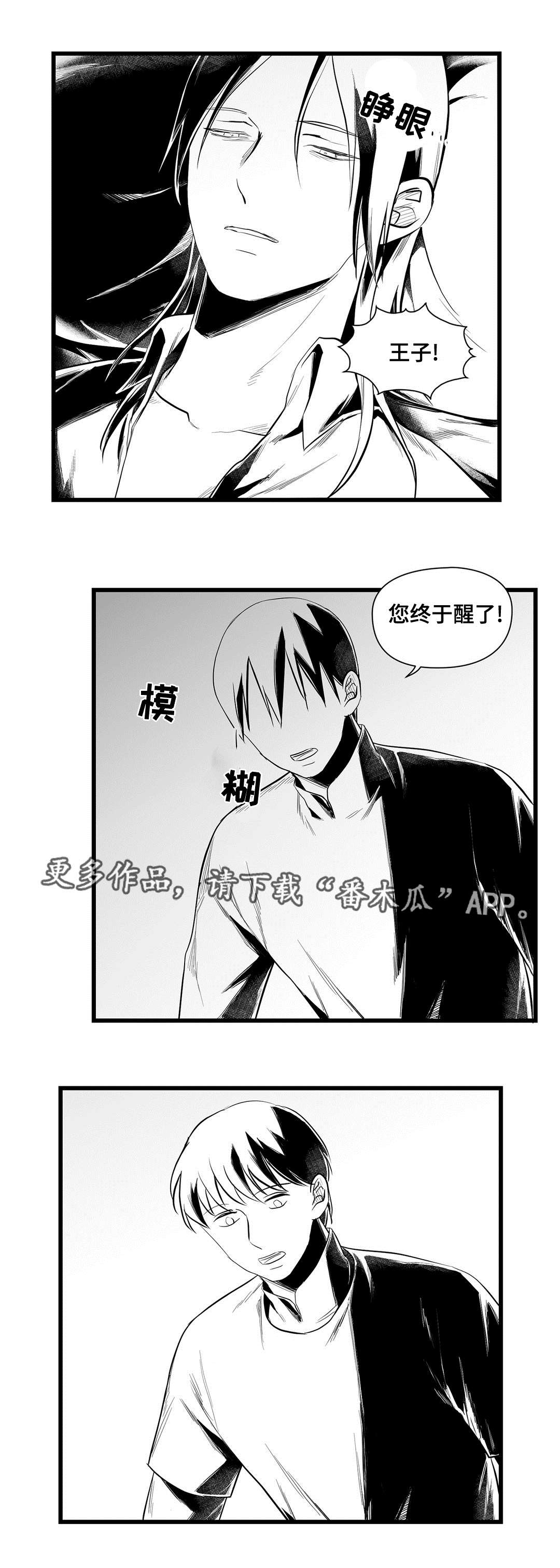 《巫师与王子》漫画最新章节第41章：何去何从免费下拉式在线观看章节第【13】张图片