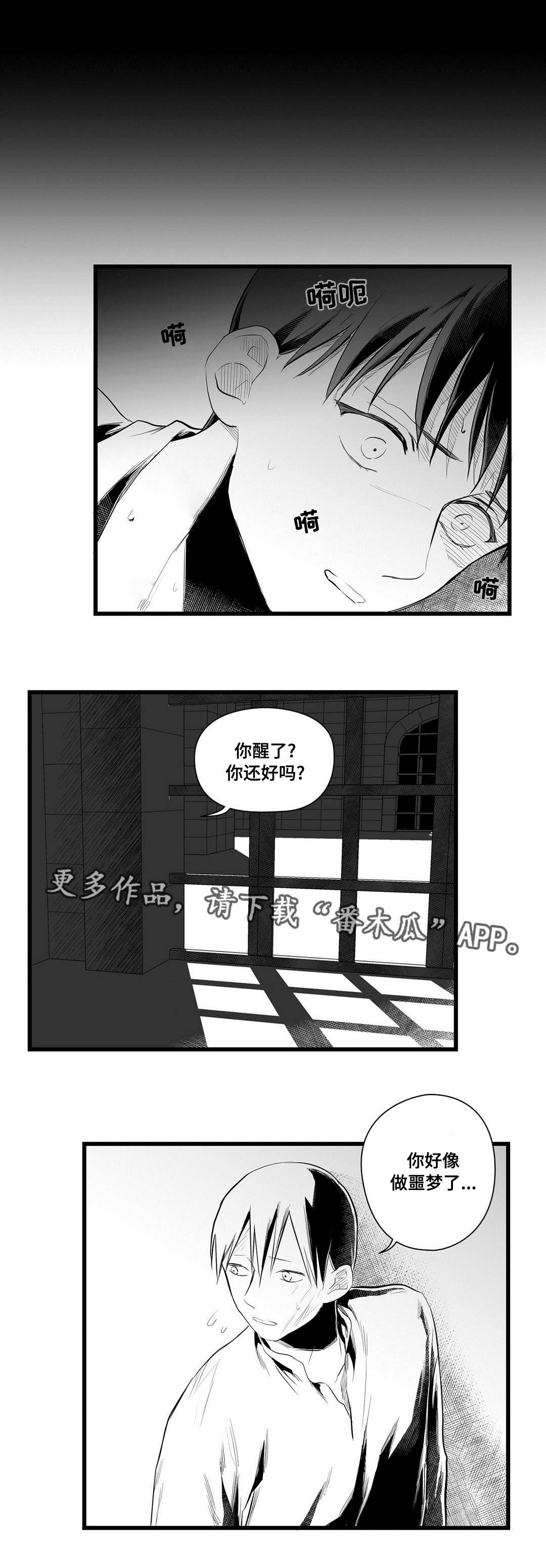 《巫师与王子》漫画最新章节第42章：葬礼免费下拉式在线观看章节第【4】张图片