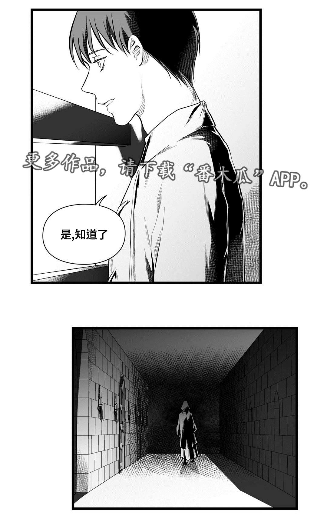 《巫师与王子》漫画最新章节第46章：证言免费下拉式在线观看章节第【13】张图片