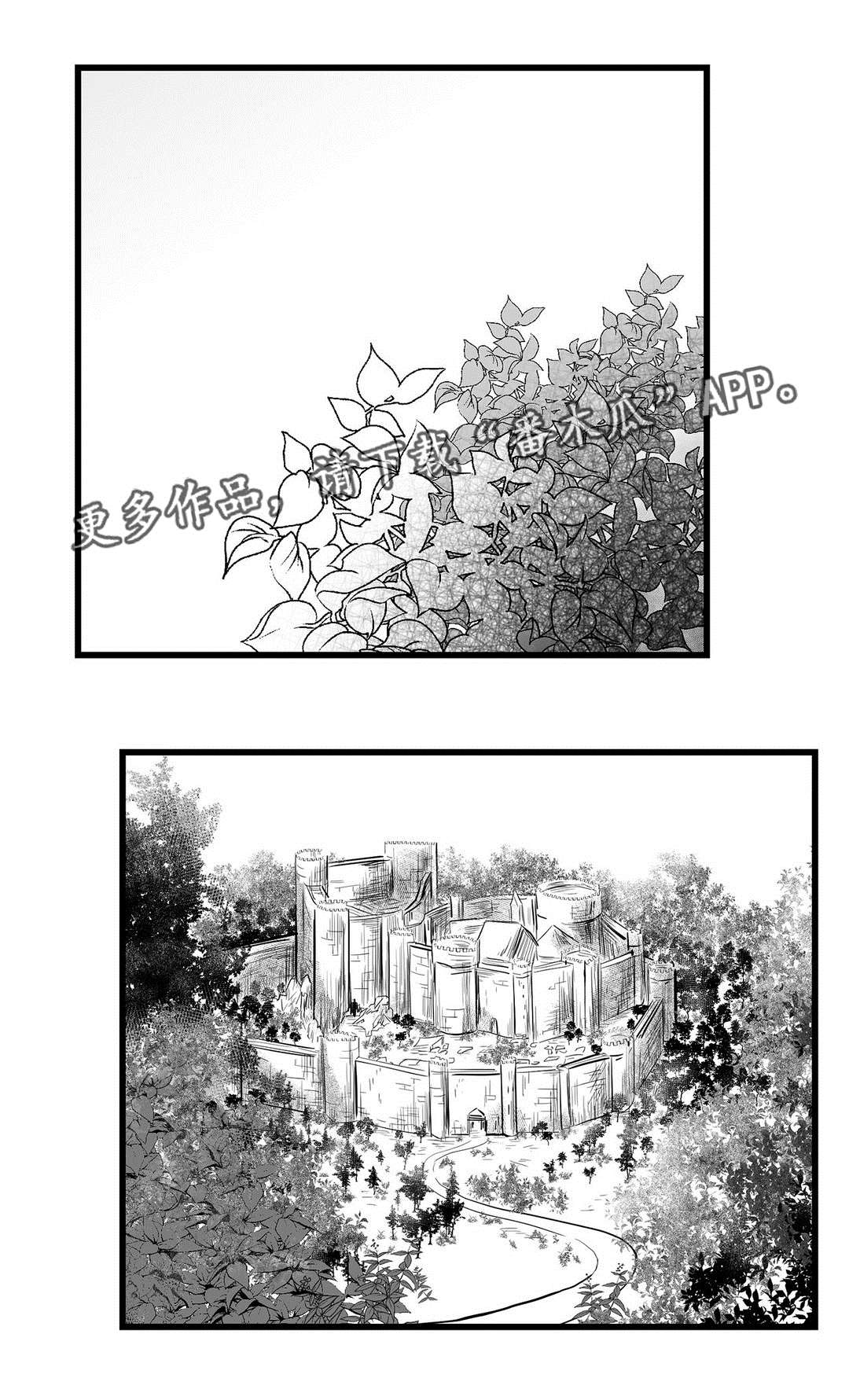 《巫师与王子》漫画最新章节第47章：审判免费下拉式在线观看章节第【15】张图片