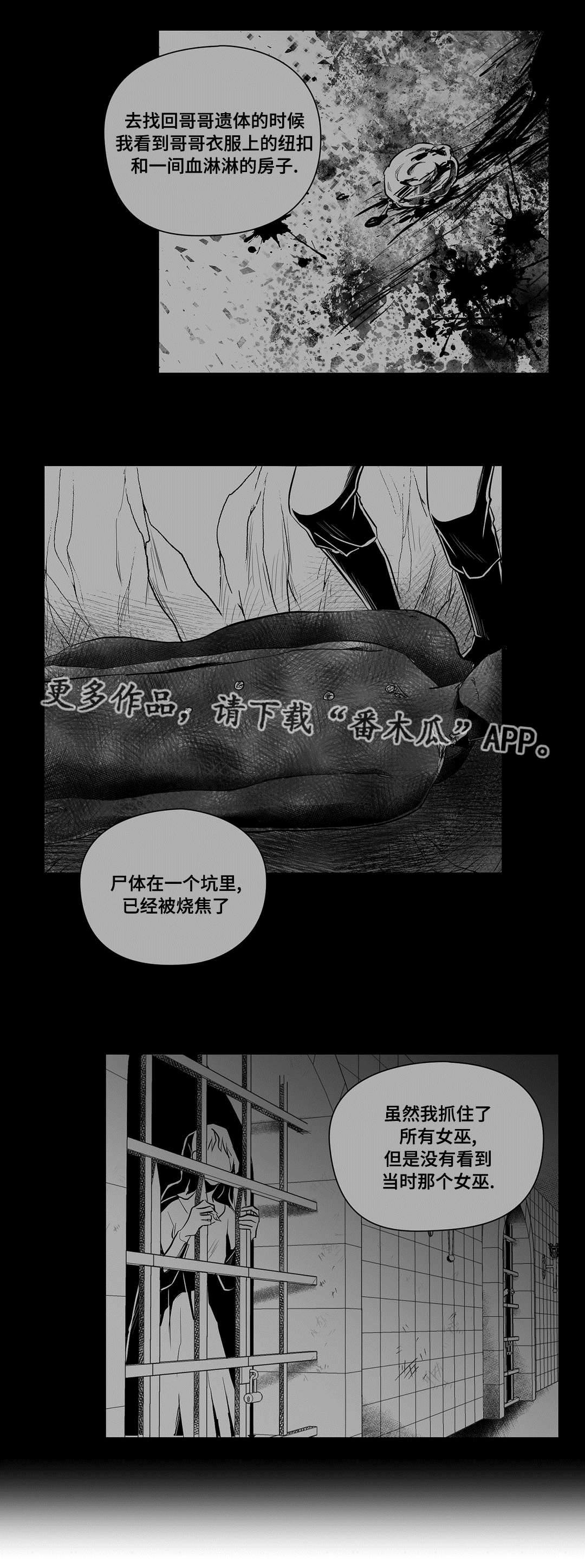 《巫师与王子》漫画最新章节第48章：麻烦免费下拉式在线观看章节第【9】张图片