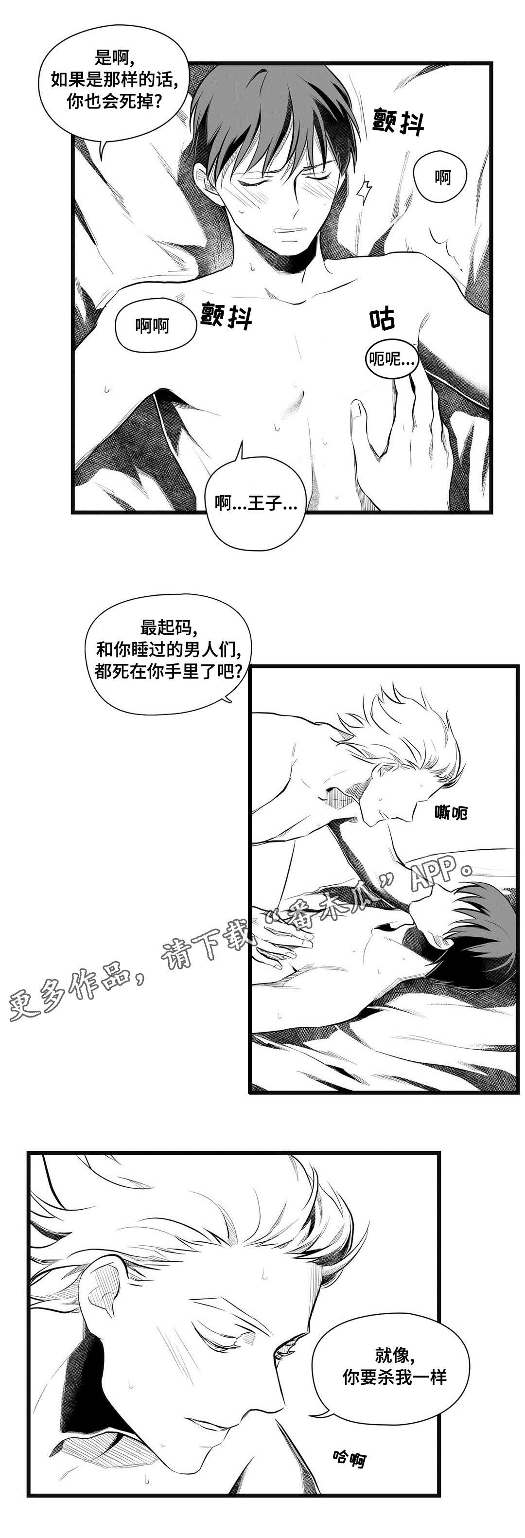 《巫师与王子》漫画最新章节第49章：守护免费下拉式在线观看章节第【9】张图片