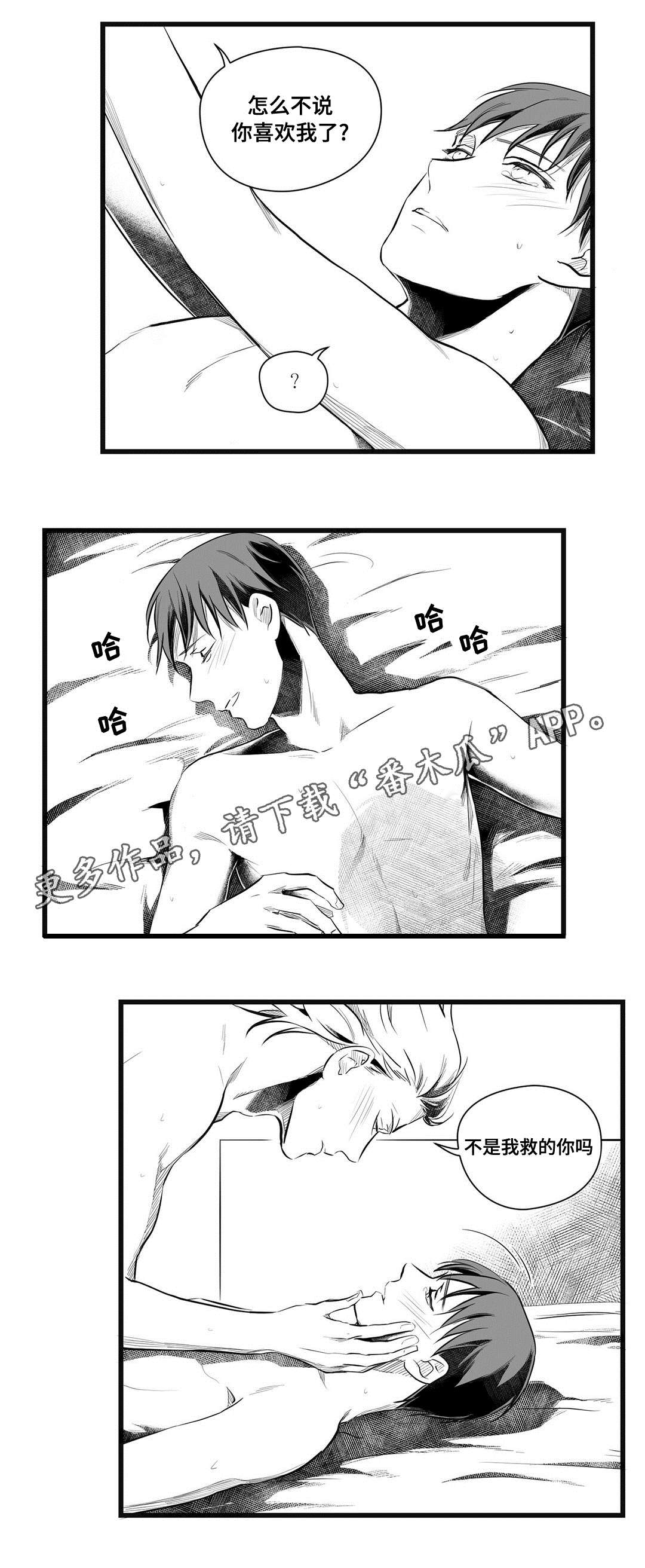 《巫师与王子》漫画最新章节第49章：守护免费下拉式在线观看章节第【13】张图片