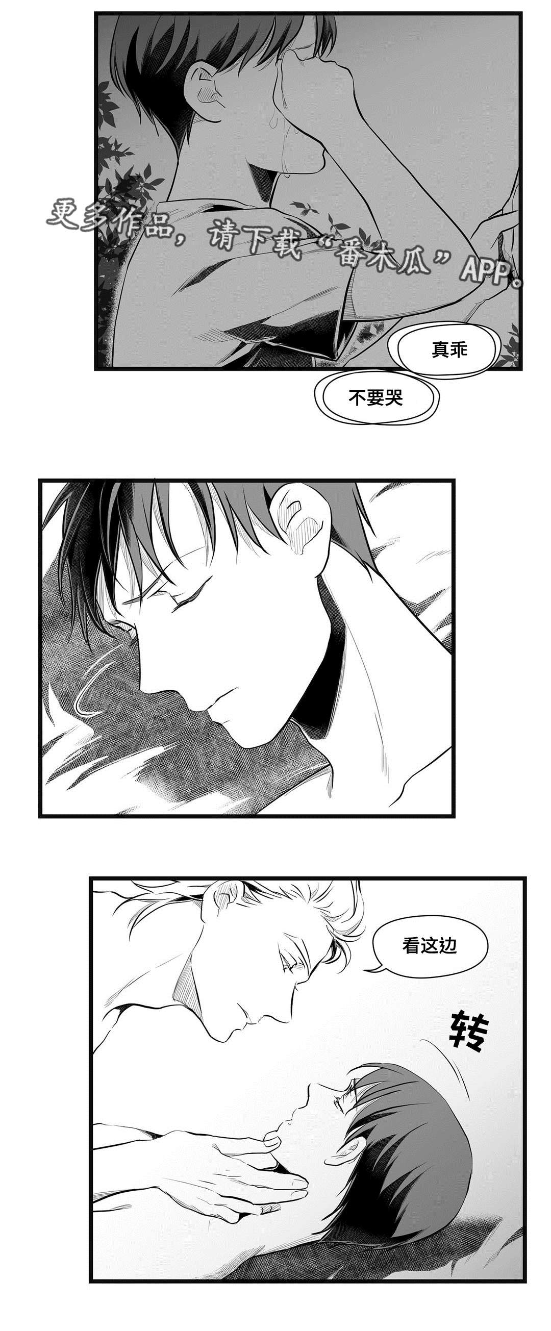 《巫师与王子》漫画最新章节第49章：守护免费下拉式在线观看章节第【17】张图片