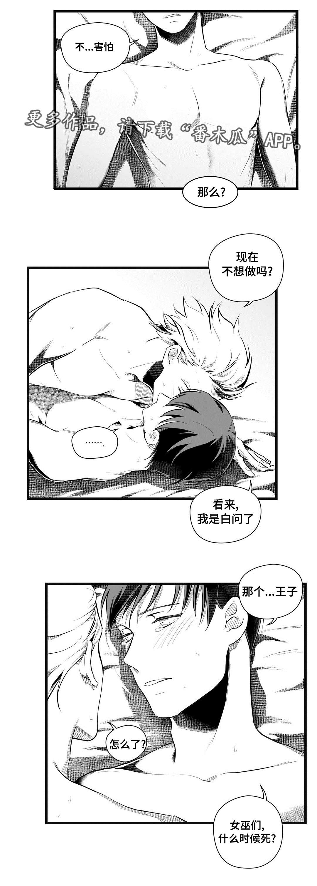 《巫师与王子》漫画最新章节第49章：守护免费下拉式在线观看章节第【11】张图片