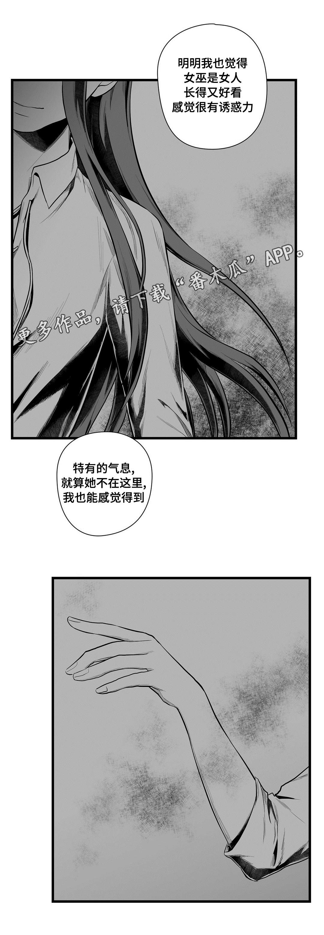 《巫师与王子》漫画最新章节第51章：魔力免费下拉式在线观看章节第【3】张图片