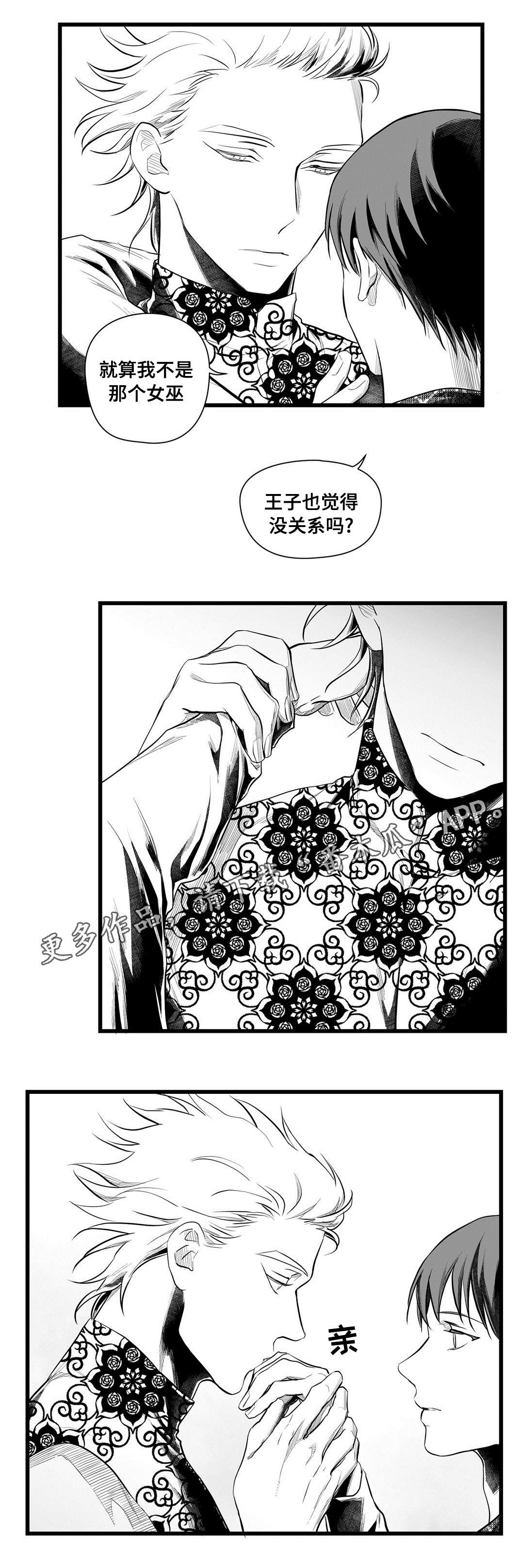 《巫师与王子》漫画最新章节第51章：魔力免费下拉式在线观看章节第【5】张图片