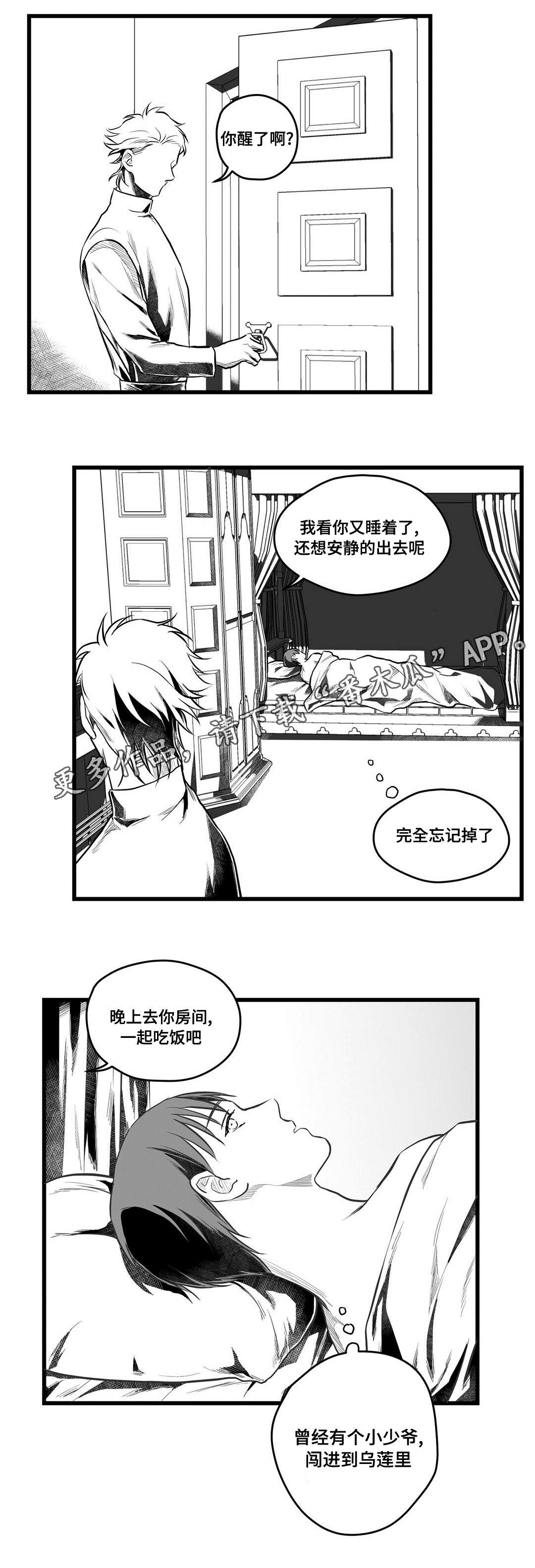 《巫师与王子》漫画最新章节第53章：无法理解免费下拉式在线观看章节第【13】张图片