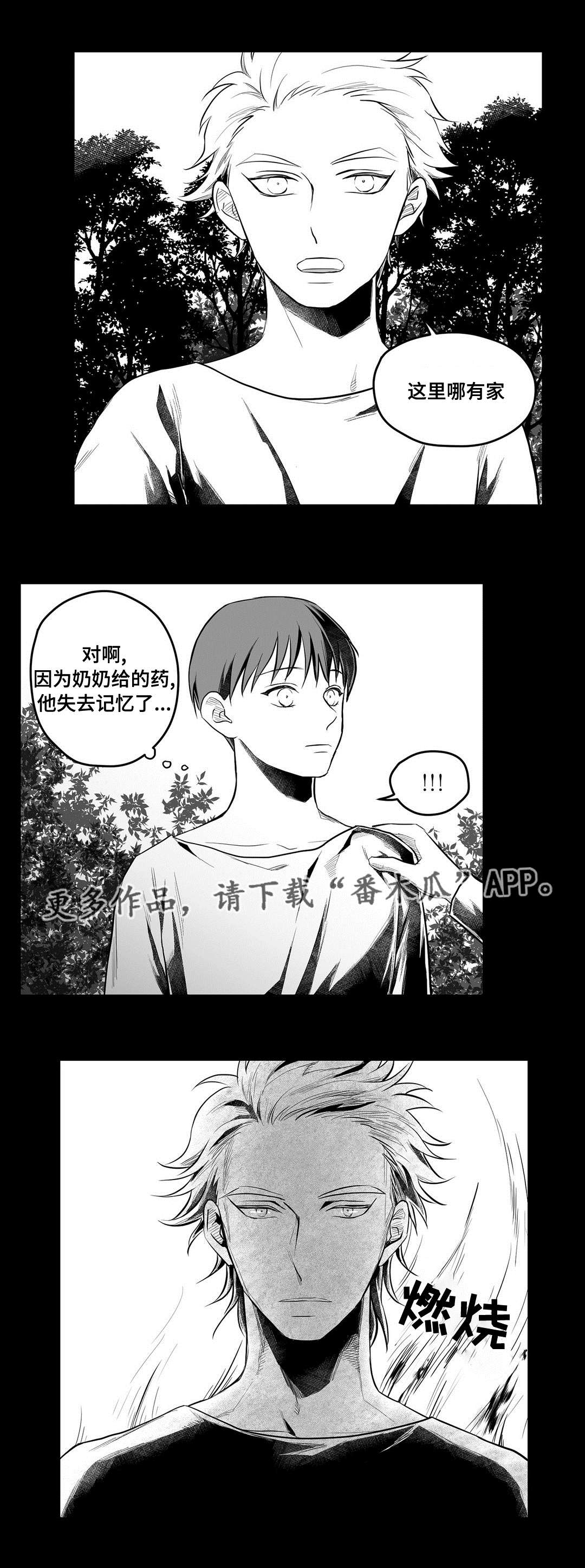 《巫师与王子》漫画最新章节第53章：无法理解免费下拉式在线观看章节第【15】张图片