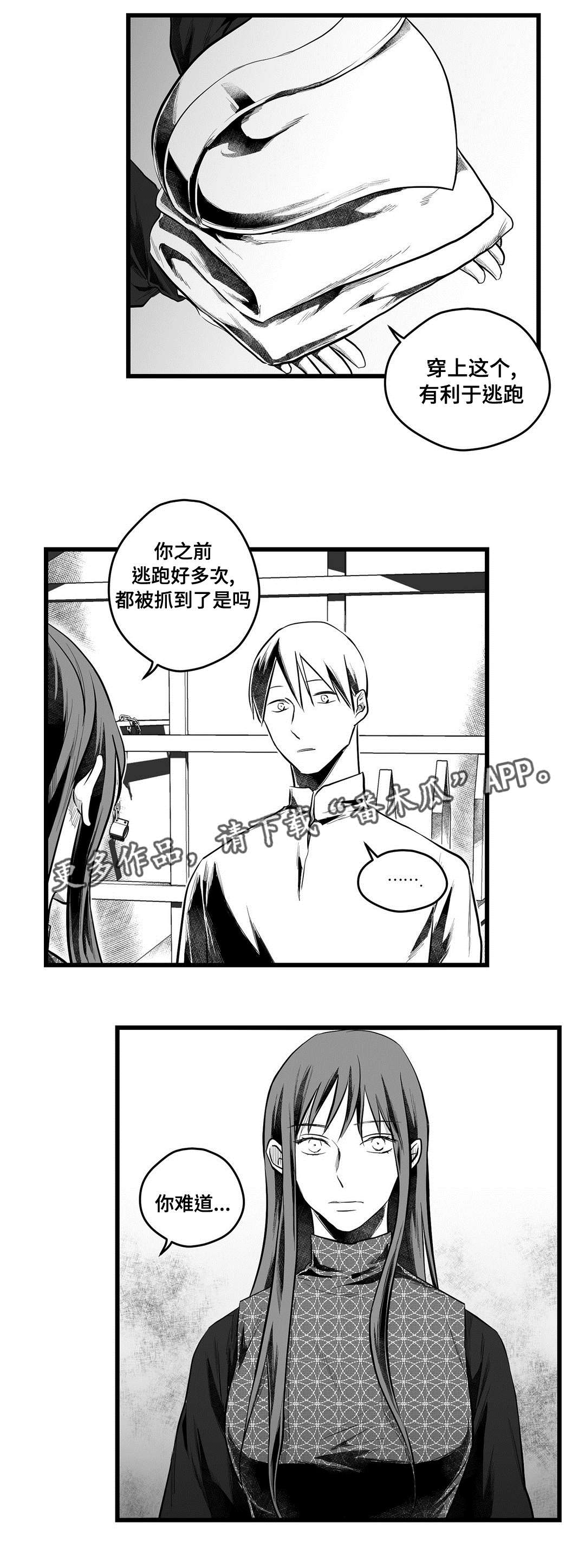 《巫师与王子》漫画最新章节第54章：出逃免费下拉式在线观看章节第【11】张图片