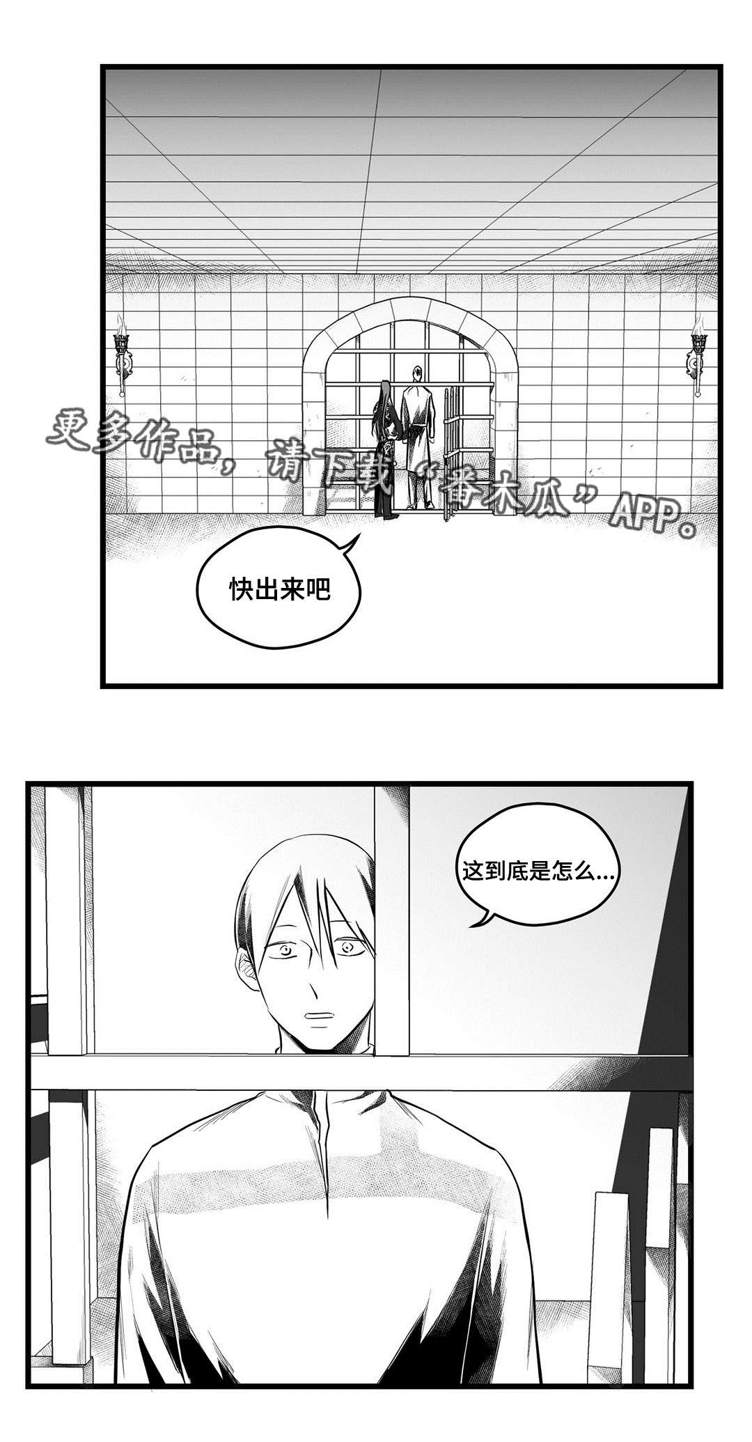 《巫师与王子》漫画最新章节第54章：出逃免费下拉式在线观看章节第【12】张图片