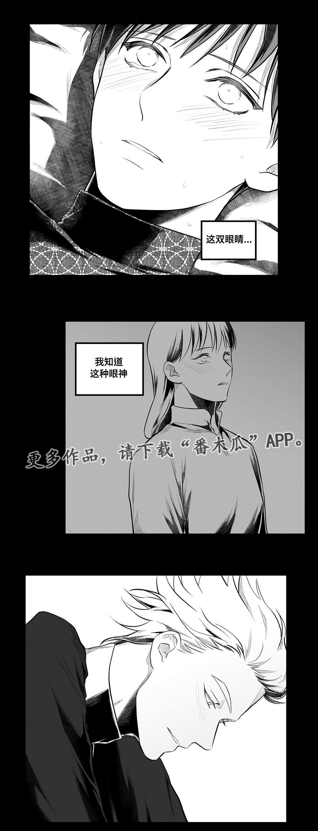 《巫师与王子》漫画最新章节第55章：爱上免费下拉式在线观看章节第【2】张图片