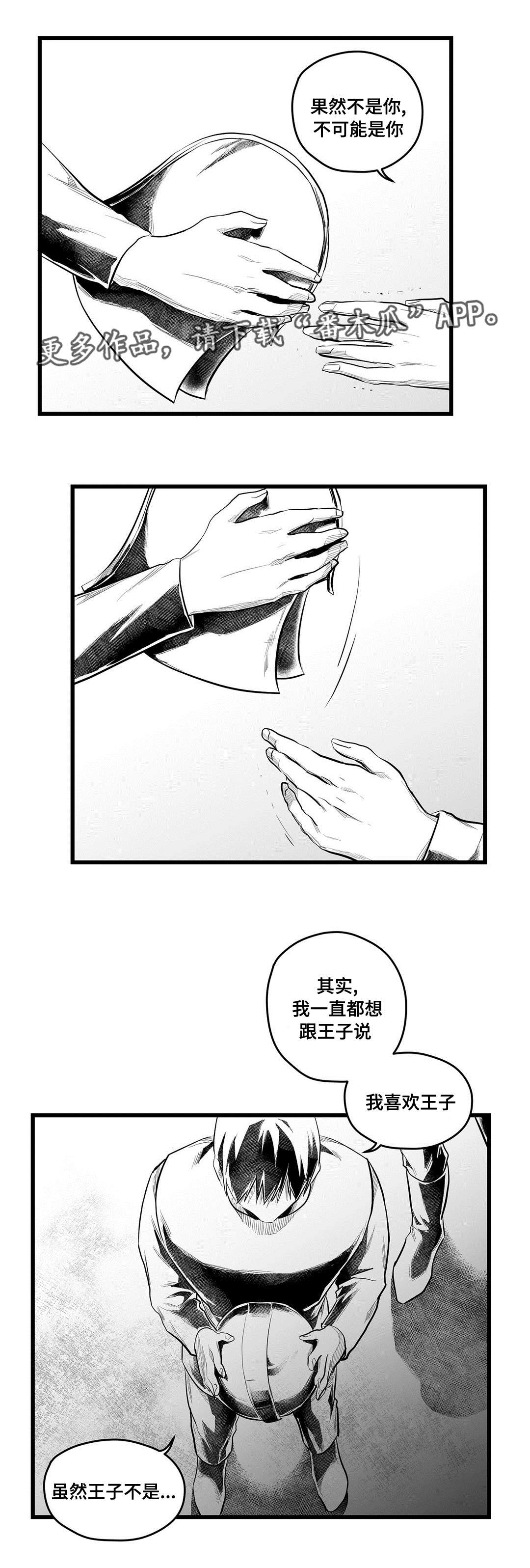 《巫师与王子》漫画最新章节第55章：爱上免费下拉式在线观看章节第【21】张图片