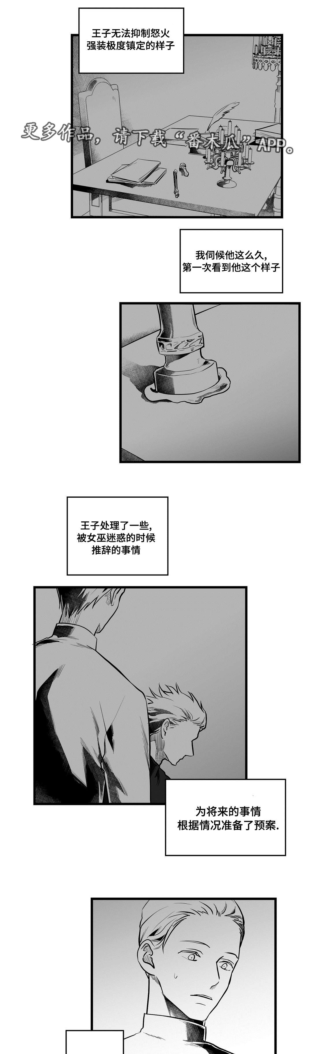 《巫师与王子》漫画最新章节第57章：山雨欲来免费下拉式在线观看章节第【9】张图片