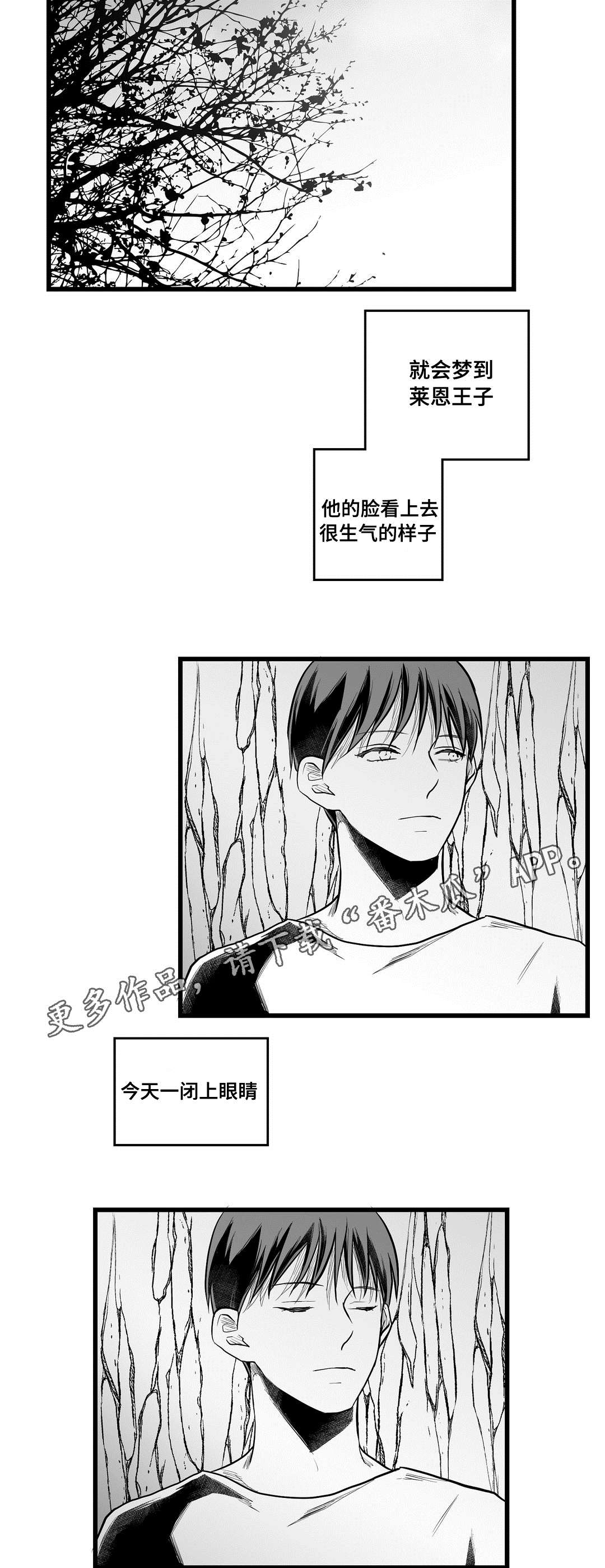 《巫师与王子》漫画最新章节第59章：错误免费下拉式在线观看章节第【21】张图片