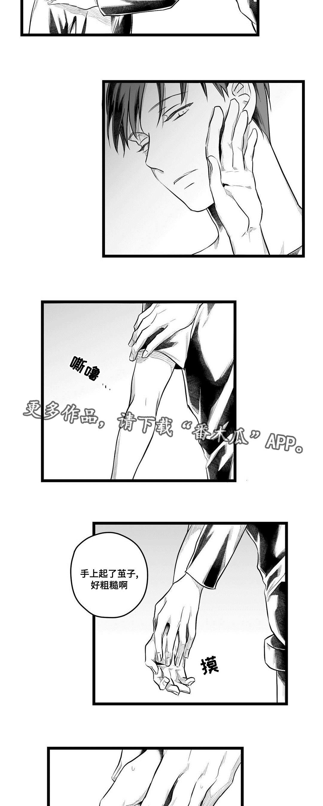 《巫师与王子》漫画最新章节第60章：谢意免费下拉式在线观看章节第【2】张图片