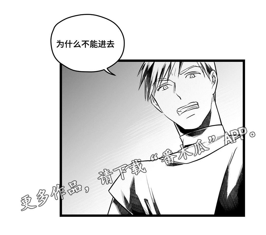 《巫师与王子》漫画最新章节第61章：好久不见免费下拉式在线观看章节第【5】张图片