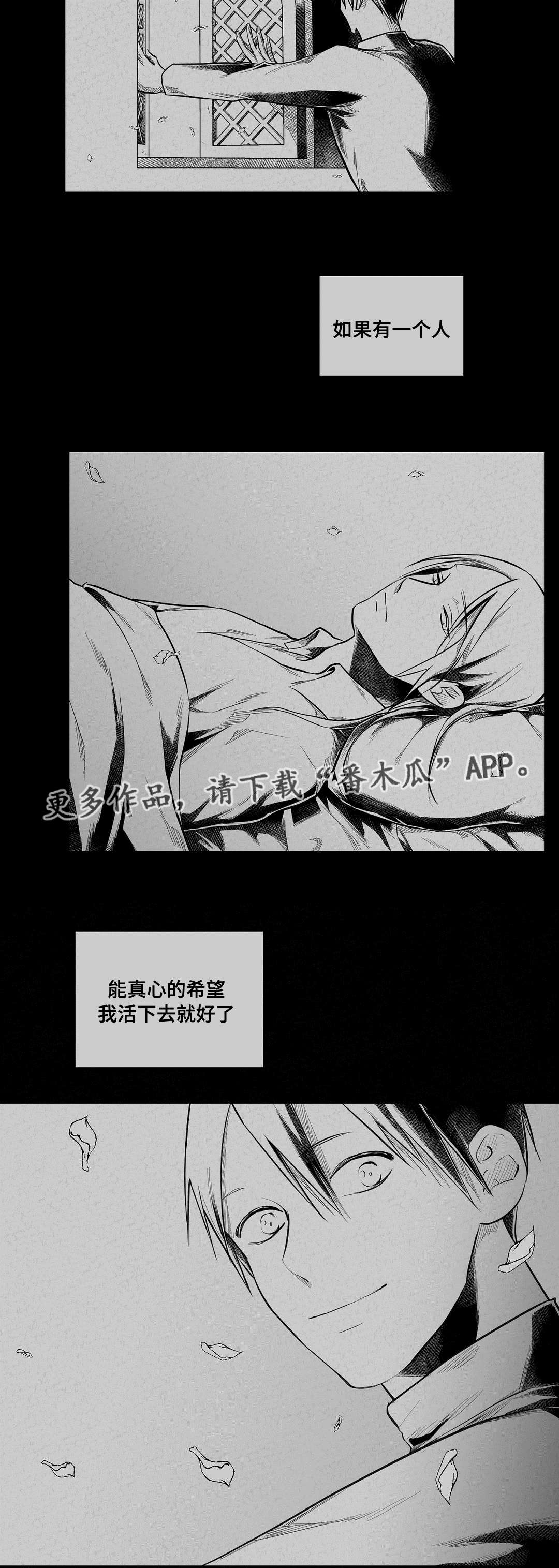 《巫师与王子》漫画最新章节第63章：爱情免费下拉式在线观看章节第【3】张图片