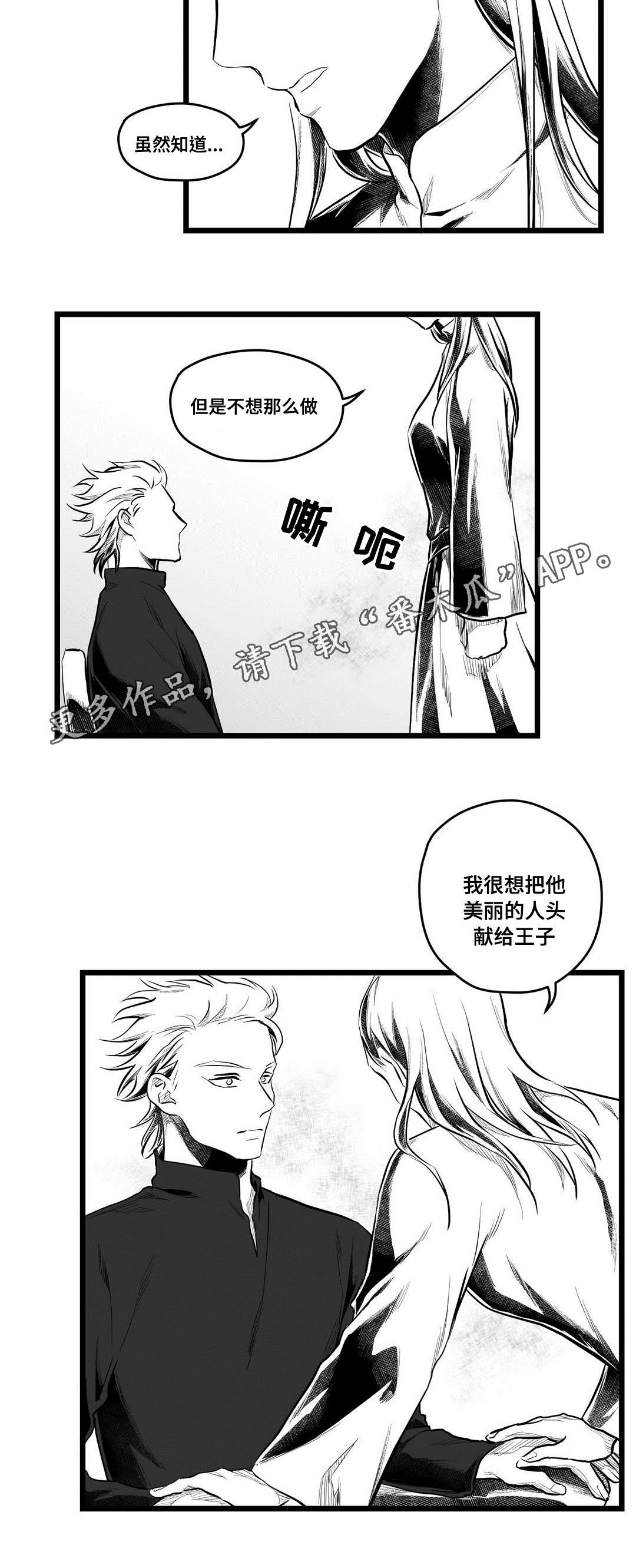 《巫师与王子》漫画最新章节第63章：爱情免费下拉式在线观看章节第【17】张图片