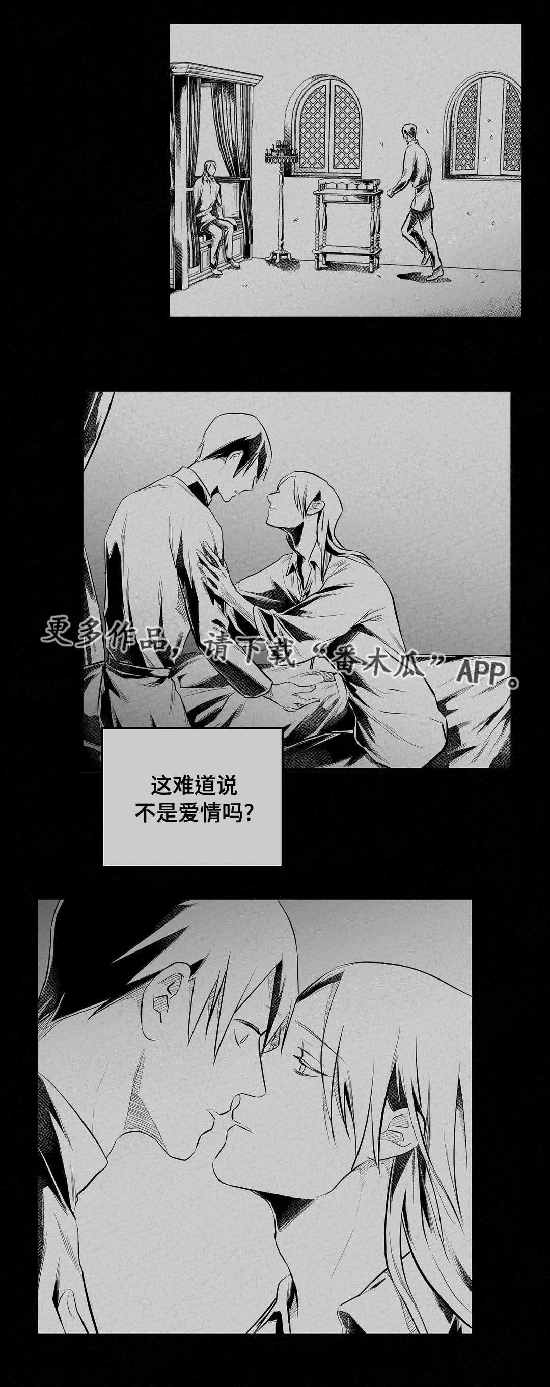 《巫师与王子》漫画最新章节第63章：爱情免费下拉式在线观看章节第【1】张图片