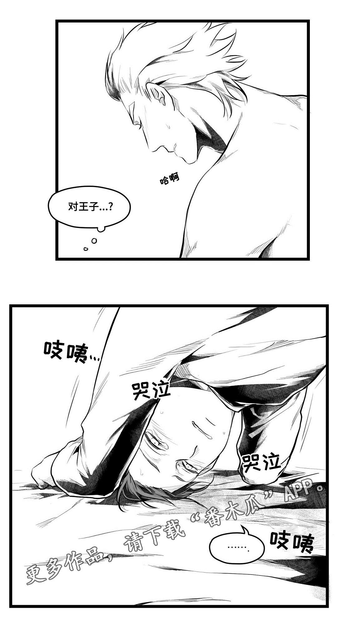 《巫师与王子》漫画最新章节第68章：要说什么免费下拉式在线观看章节第【11】张图片