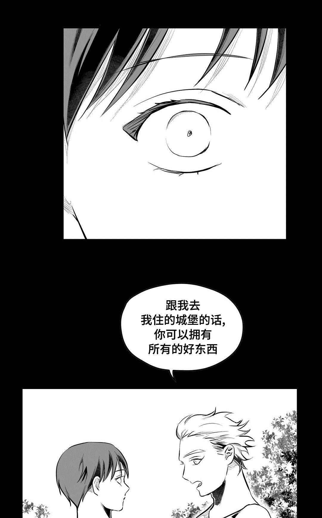 《巫师与王子》漫画最新章节第69章：野心免费下拉式在线观看章节第【8】张图片