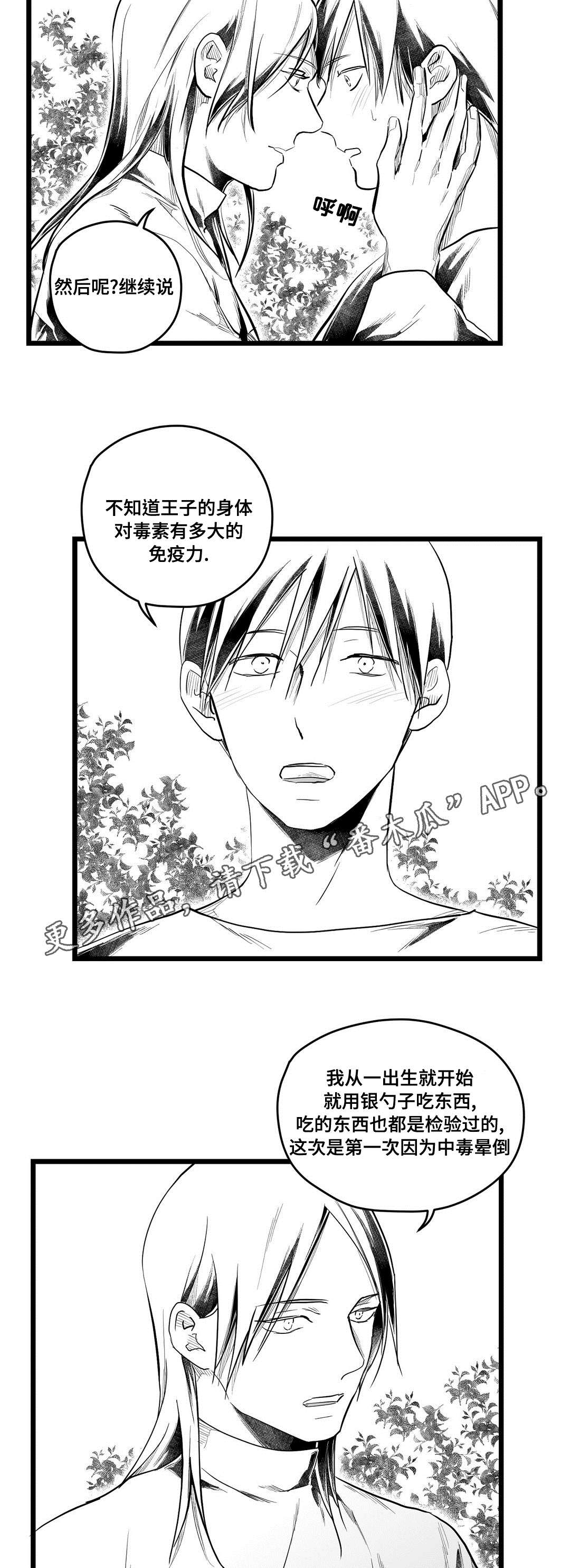 《巫师与王子》漫画最新章节第70章：关心免费下拉式在线观看章节第【7】张图片