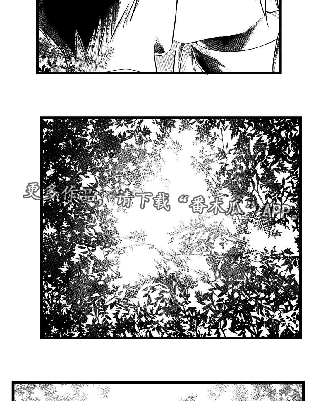 《巫师与王子》漫画最新章节第71章：命运免费下拉式在线观看章节第【7】张图片