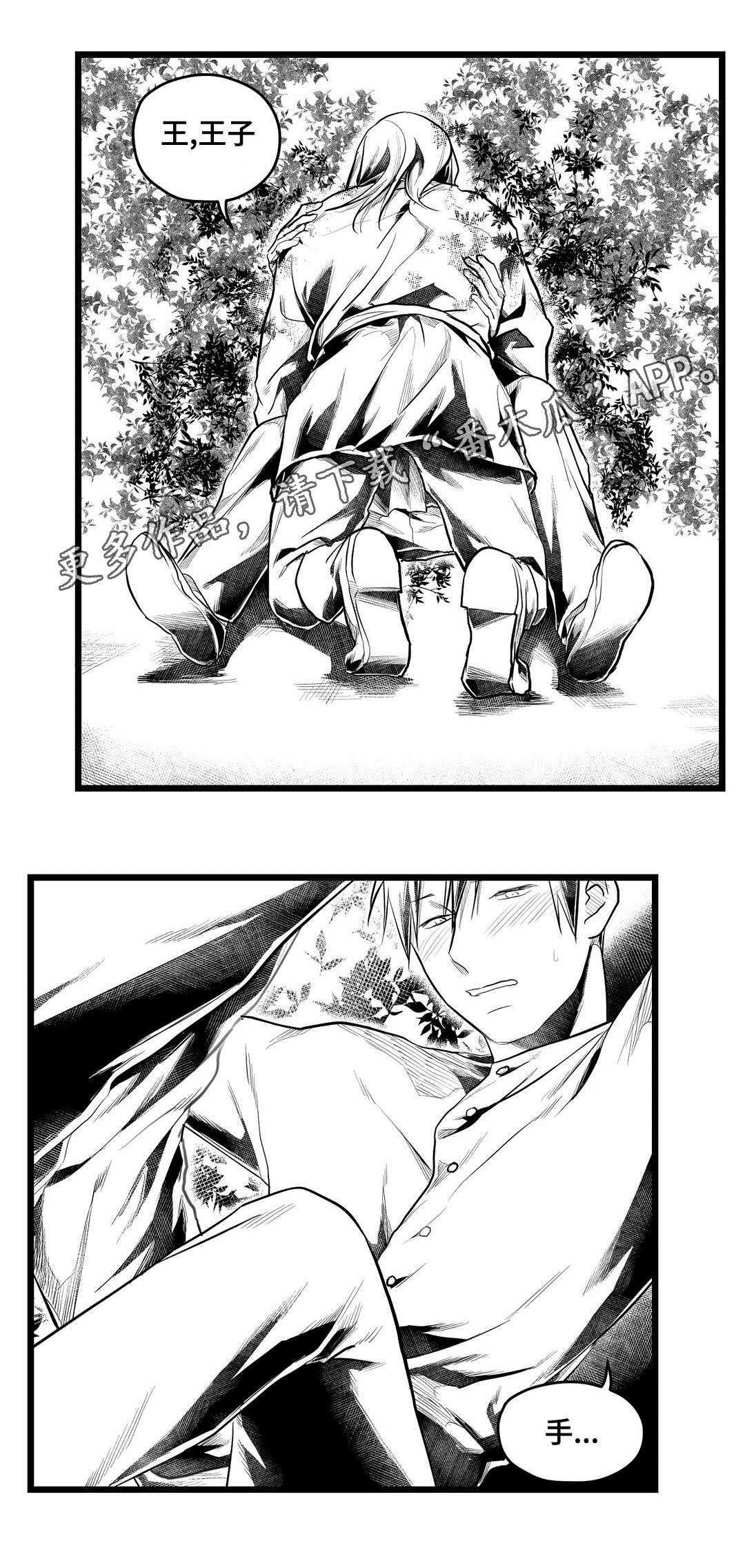 《巫师与王子》漫画最新章节第71章：命运免费下拉式在线观看章节第【12】张图片