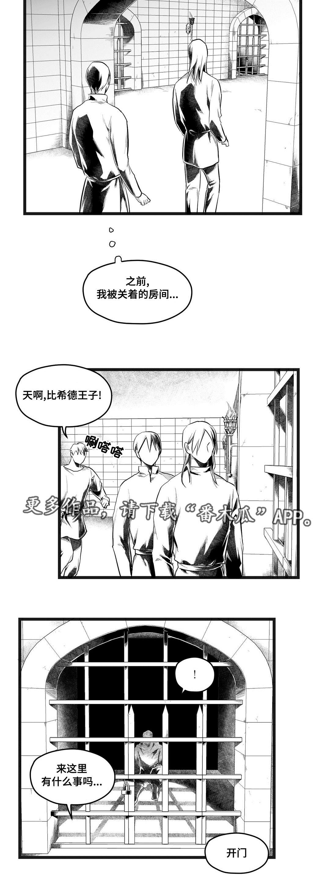 《巫师与王子》漫画最新章节第73章：幕后真凶免费下拉式在线观看章节第【14】张图片