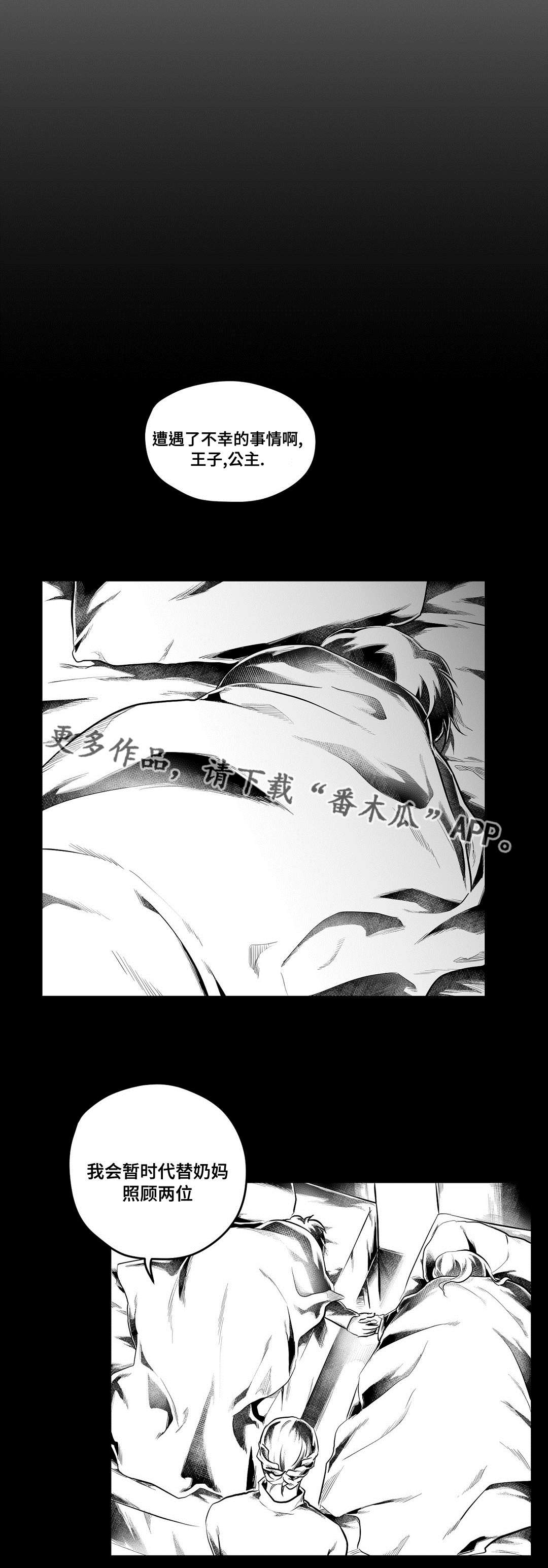 《巫师与王子》漫画最新章节第75章：见面免费下拉式在线观看章节第【13】张图片