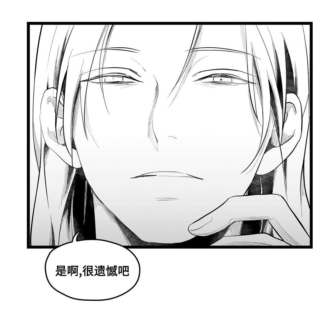 《巫师与王子》漫画最新章节第75章：见面免费下拉式在线观看章节第【1】张图片