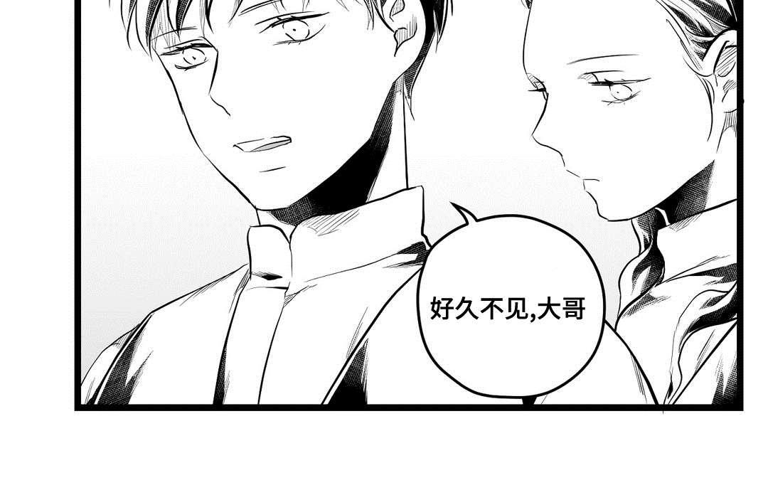 《巫师与王子》漫画最新章节第75章：见面免费下拉式在线观看章节第【5】张图片