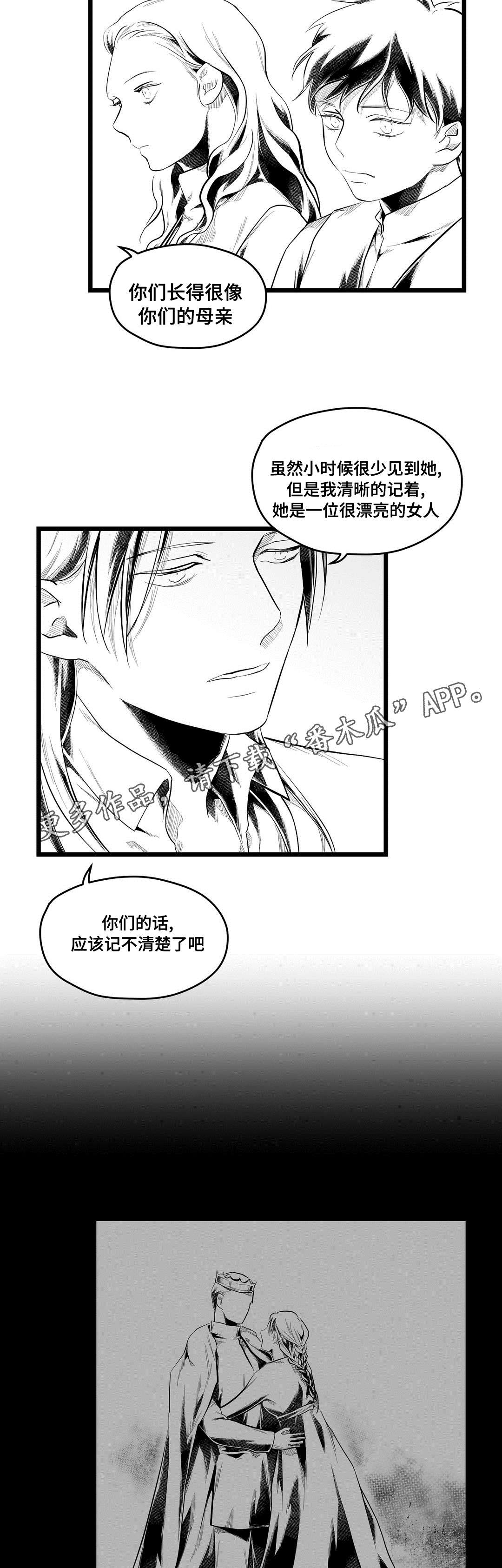 《巫师与王子》漫画最新章节第76章：故事免费下拉式在线观看章节第【13】张图片