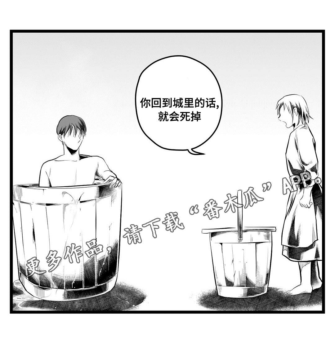 《巫师与王子》漫画最新章节第77章：预见未来免费下拉式在线观看章节第【12】张图片