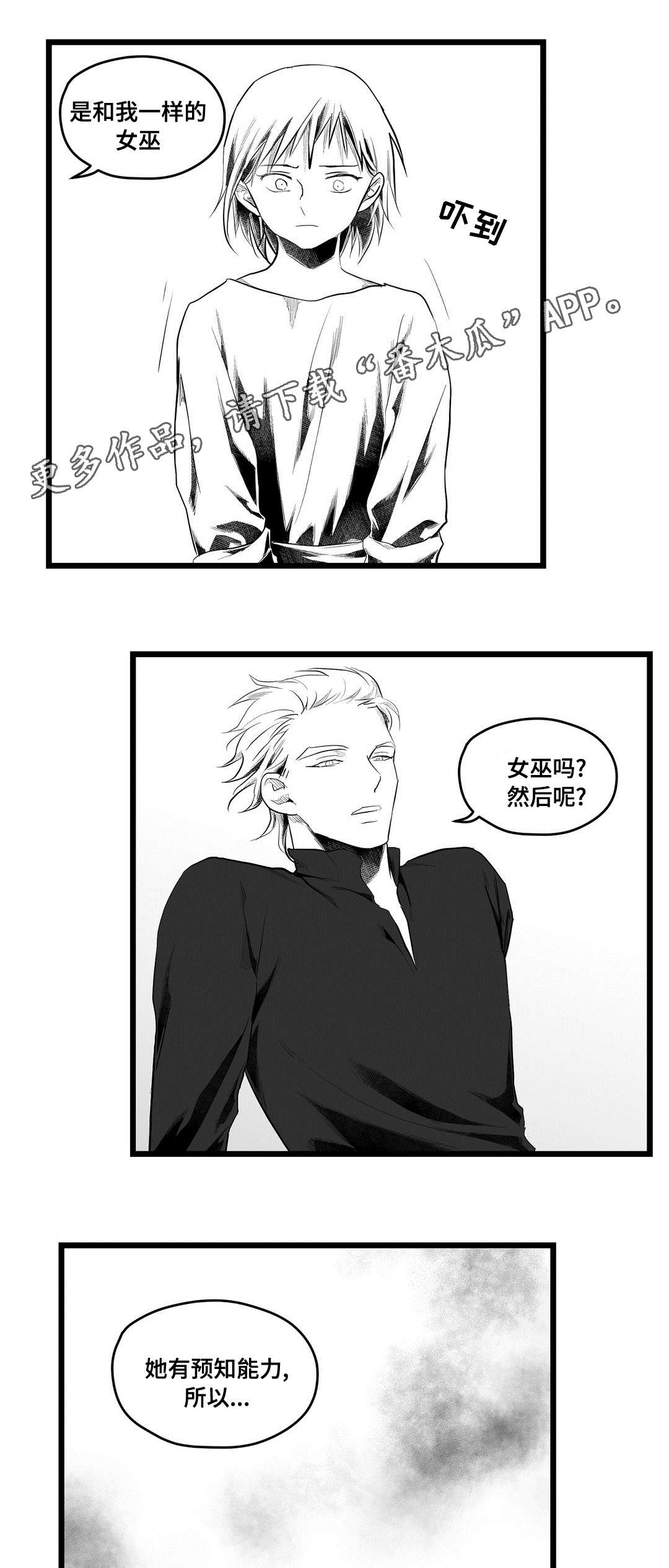 《巫师与王子》漫画最新章节第80章：骗子免费下拉式在线观看章节第【10】张图片