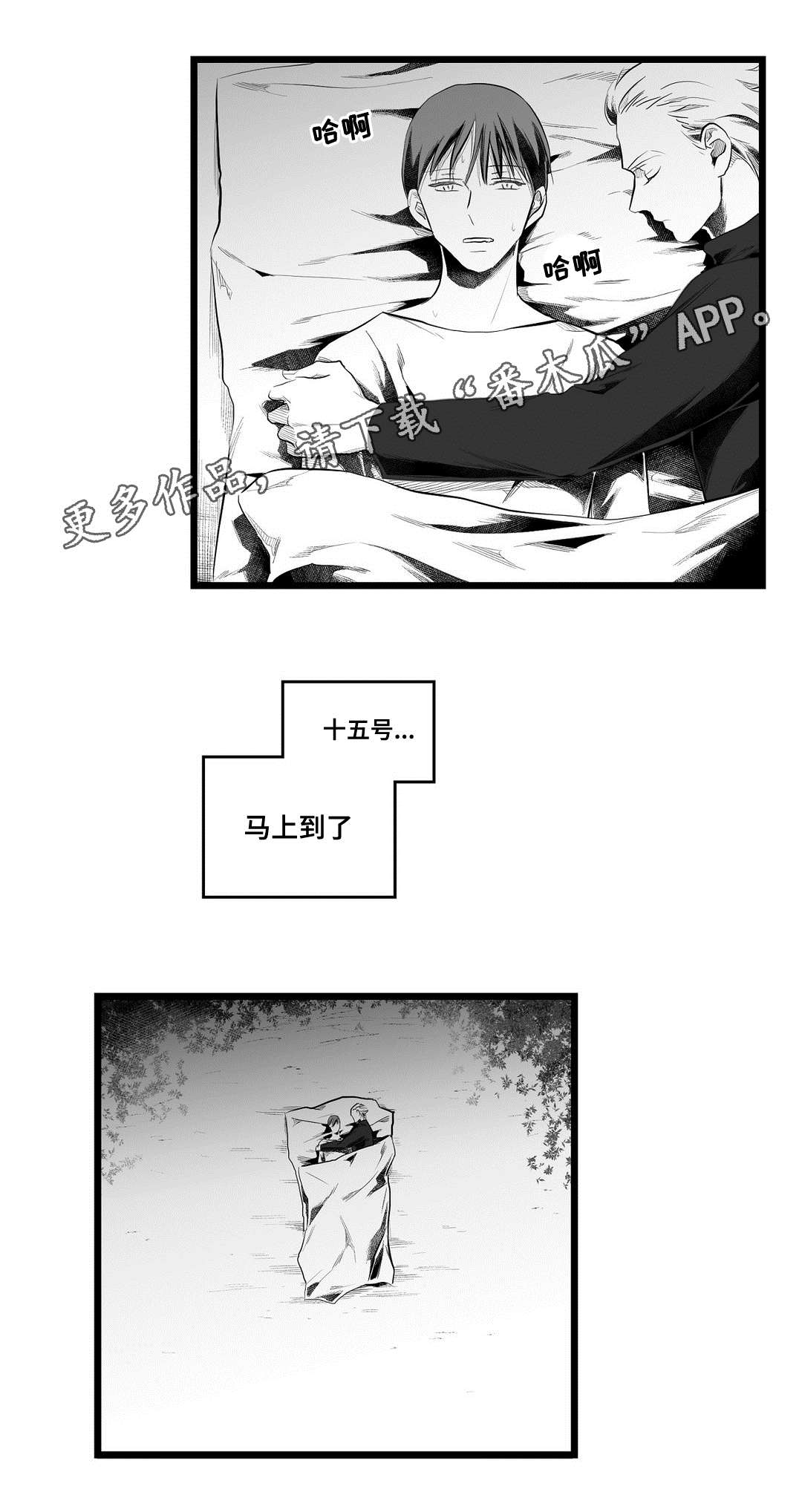 《巫师与王子》漫画最新章节第82章：梦免费下拉式在线观看章节第【1】张图片