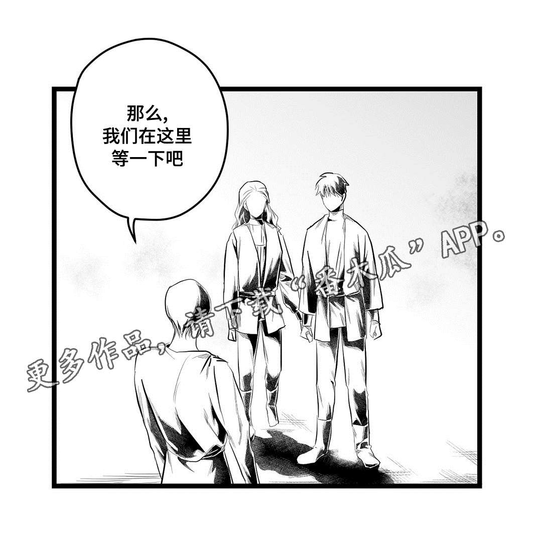 《巫师与王子》漫画最新章节第84章：十五免费下拉式在线观看章节第【1】张图片