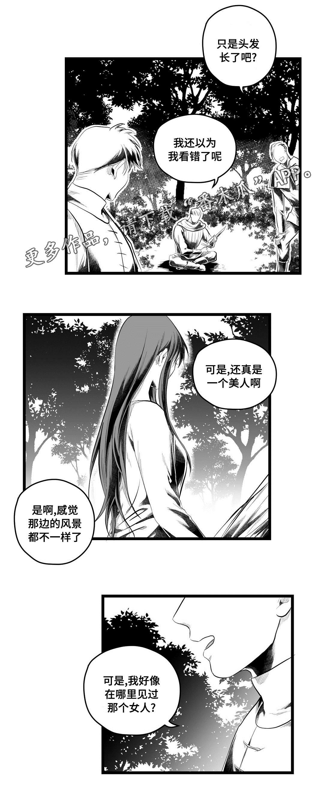 《巫师与王子》漫画最新章节第84章：十五免费下拉式在线观看章节第【10】张图片