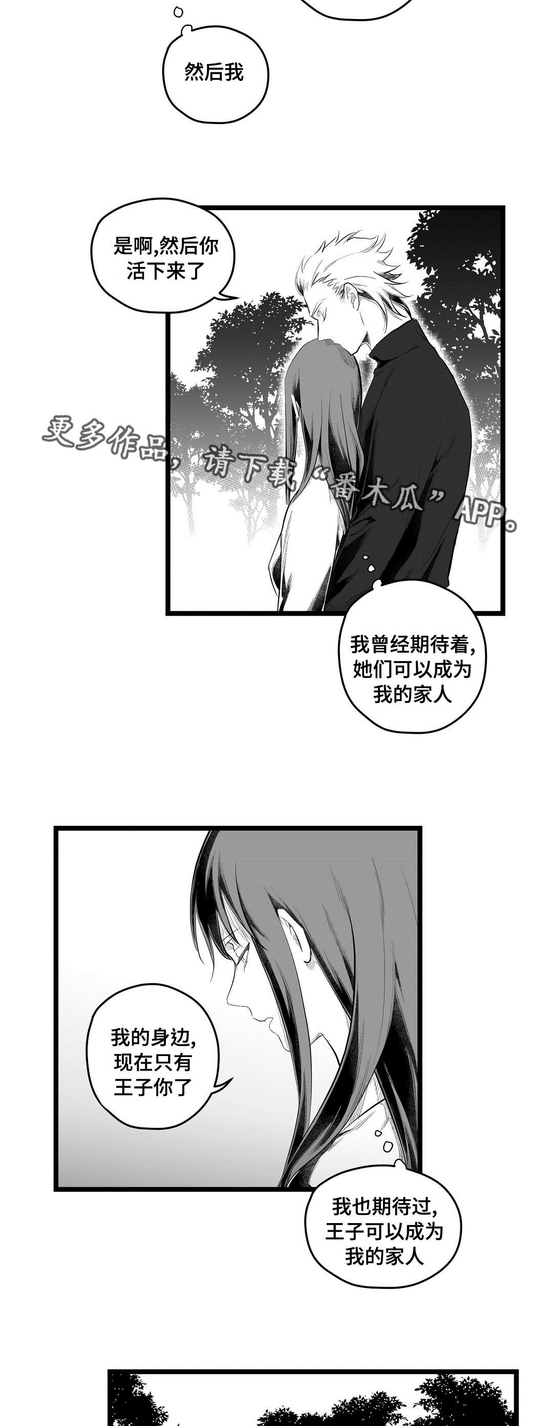 《巫师与王子》漫画最新章节第84章：十五免费下拉式在线观看章节第【12】张图片