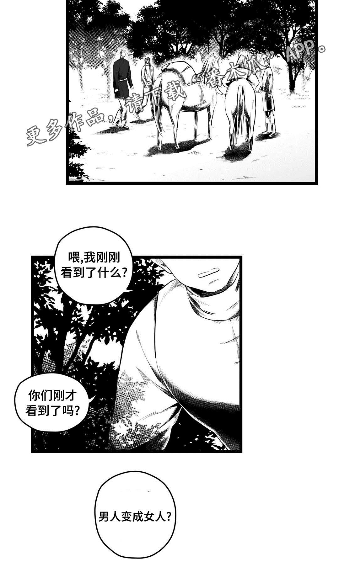 《巫师与王子》漫画最新章节第84章：十五免费下拉式在线观看章节第【11】张图片