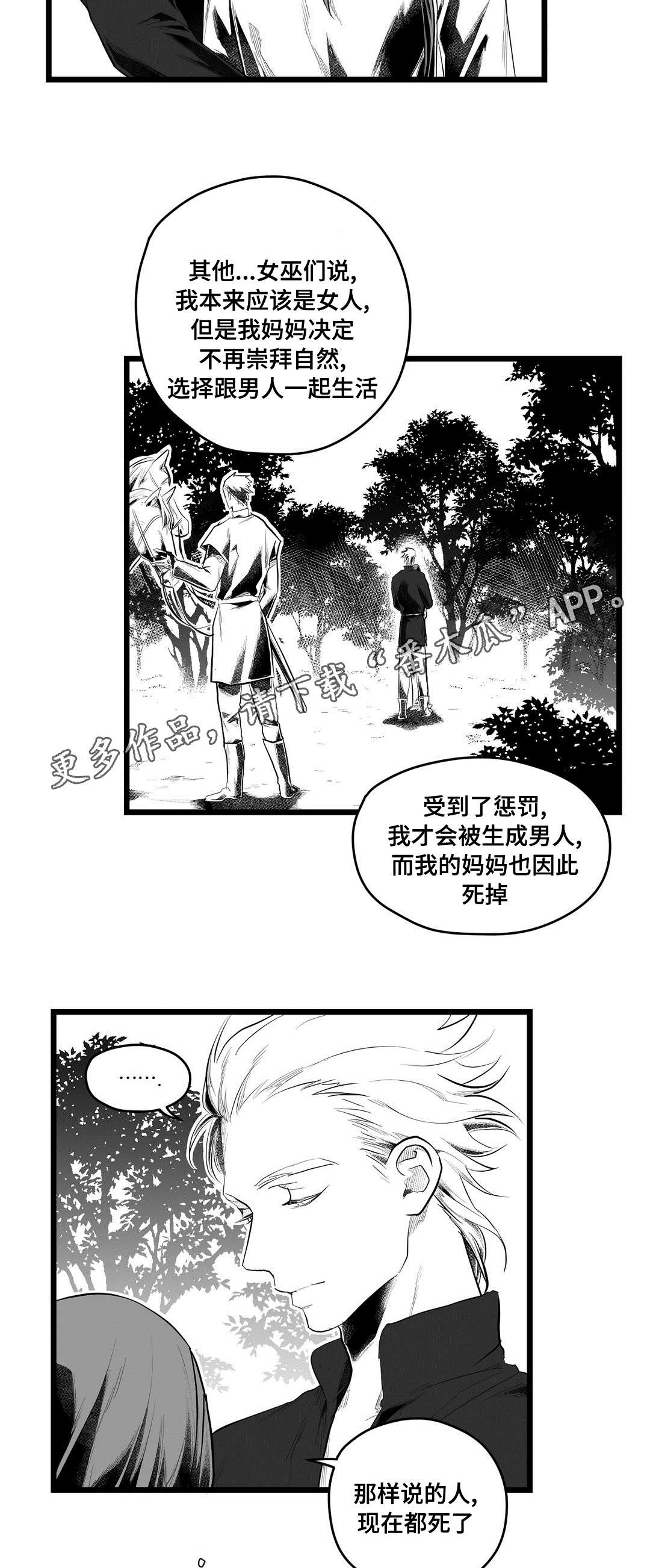 《巫师与王子》漫画最新章节第84章：十五免费下拉式在线观看章节第【13】张图片