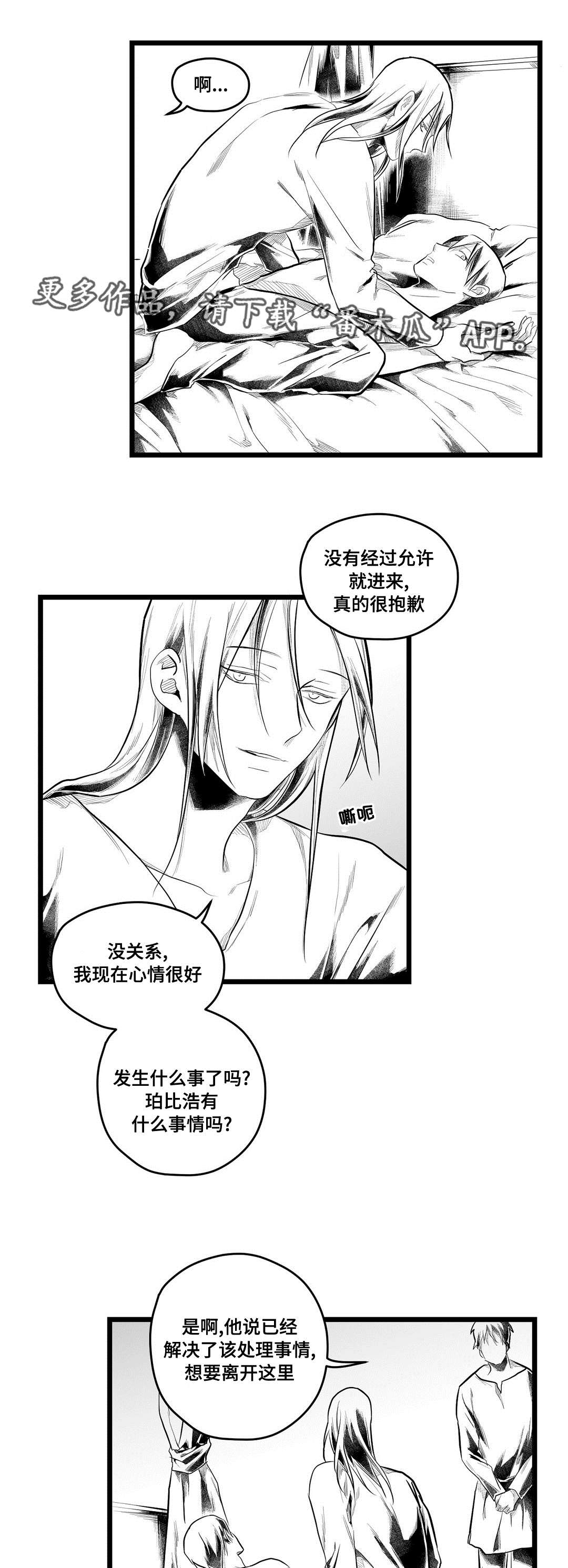 《巫师与王子》漫画最新章节第85章：遇袭免费下拉式在线观看章节第【20】张图片