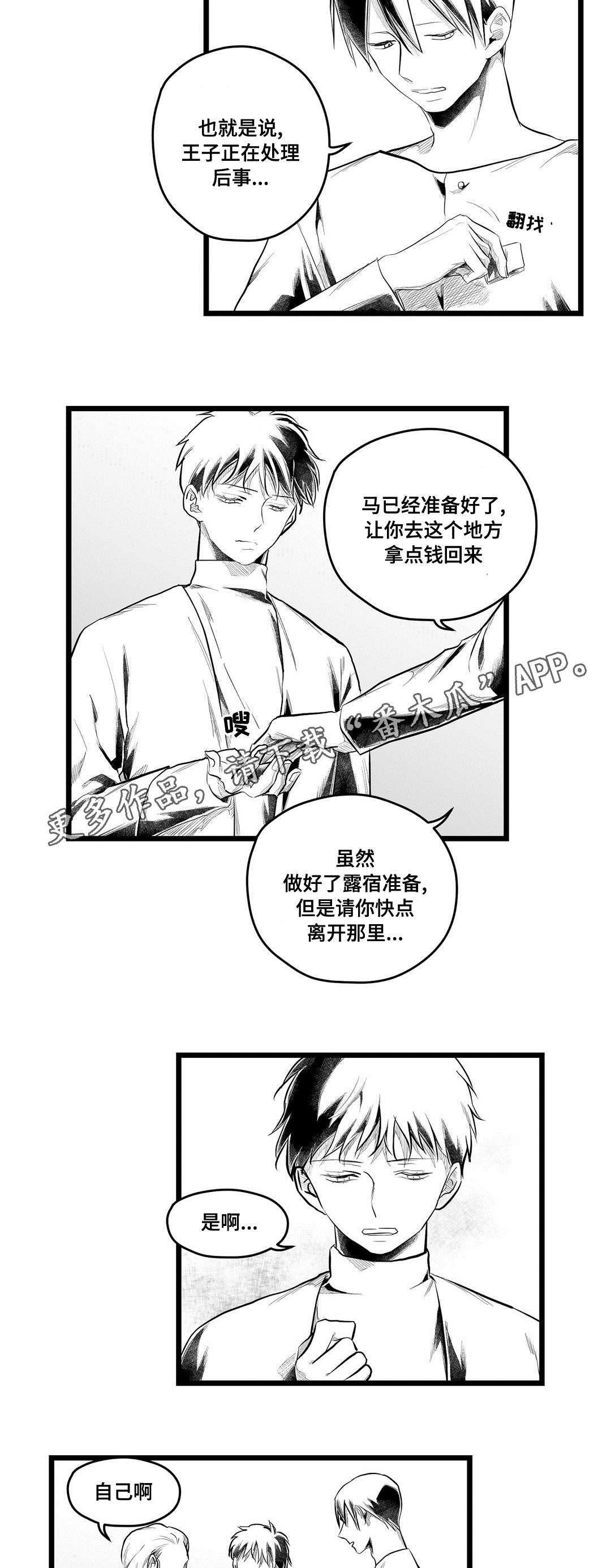 《巫师与王子》漫画最新章节第85章：遇袭免费下拉式在线观看章节第【17】张图片