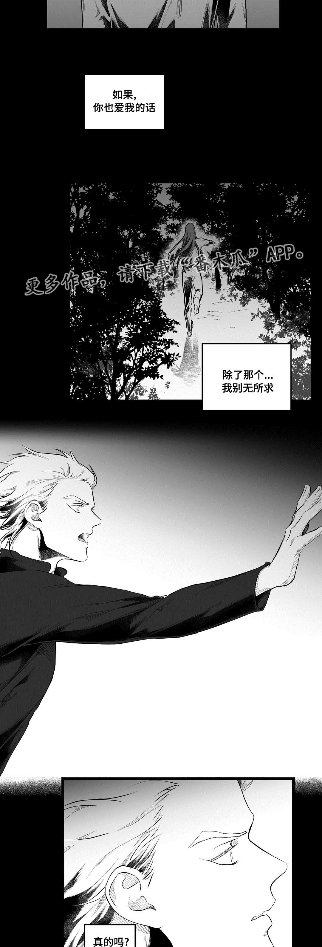 《巫师与王子》漫画最新章节第89章：坠崖免费下拉式在线观看章节第【15】张图片