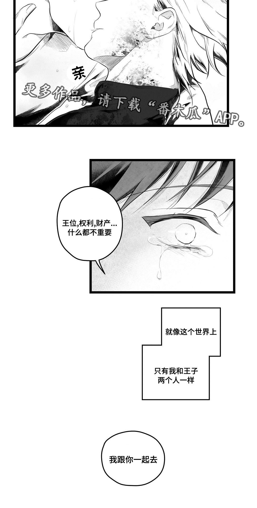 《巫师与王子》漫画最新章节第90章：得失免费下拉式在线观看章节第【7】张图片