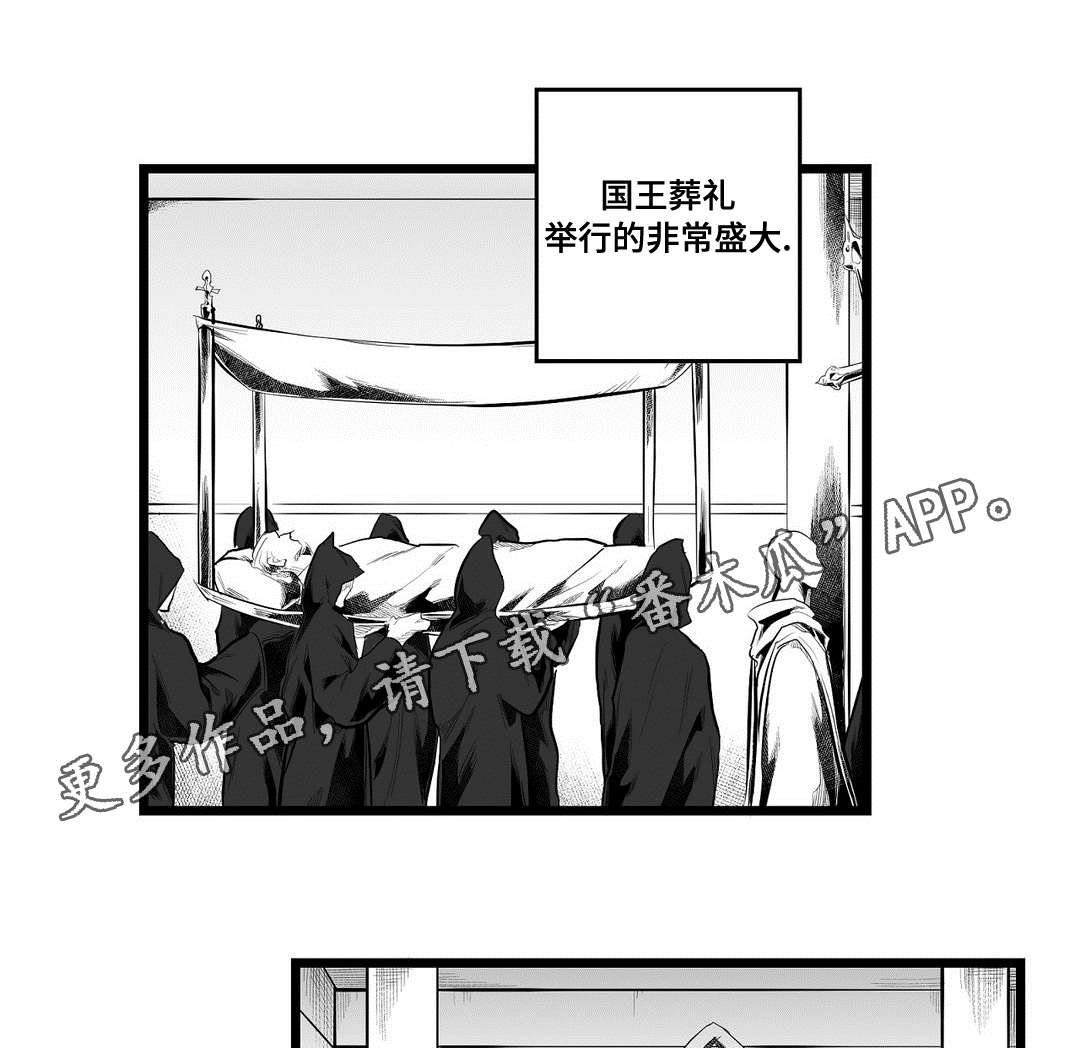 《巫师与王子》漫画最新章节第91章：未来免费下拉式在线观看章节第【19】张图片