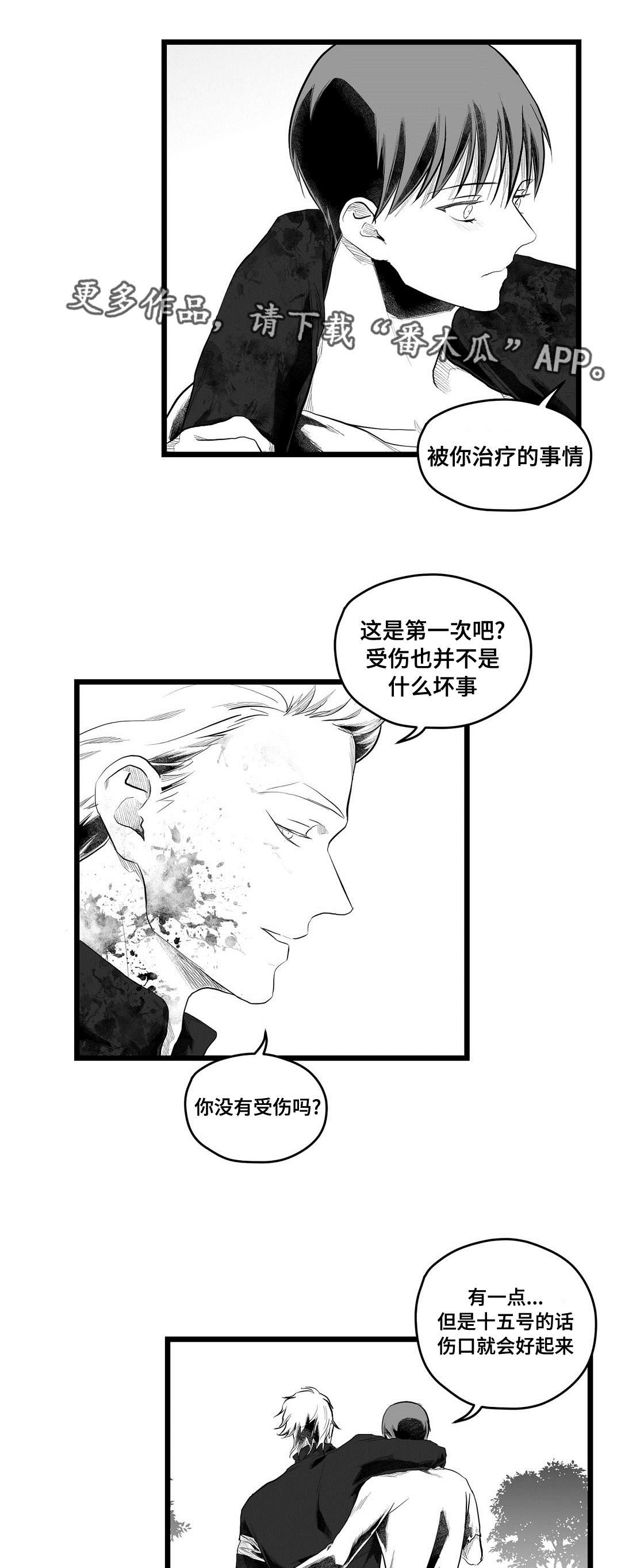 《巫师与王子》漫画最新章节第91章：未来免费下拉式在线观看章节第【10】张图片