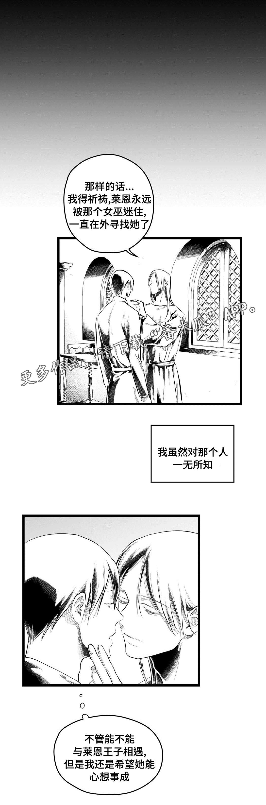 《巫师与王子》漫画最新章节第91章：未来免费下拉式在线观看章节第【13】张图片